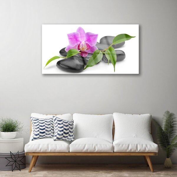 Quadro su vetro Arte delle orchidee 100x50 cm 2 appendini