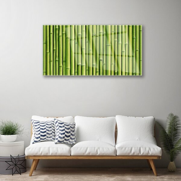 Quadro su vetro Pianta di bambù Natura 100x50 cm 2 appendini