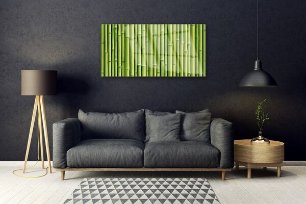 Quadro su vetro Pianta di bambù Natura 100x50 cm 2 appendini