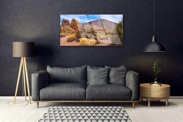 Quadro vetro Montagne Piante Rocce Paesaggio 100x50 cm 2 appendini