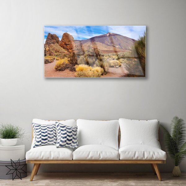 Quadro vetro Montagne Piante Rocce Paesaggio 100x50 cm 2 appendini