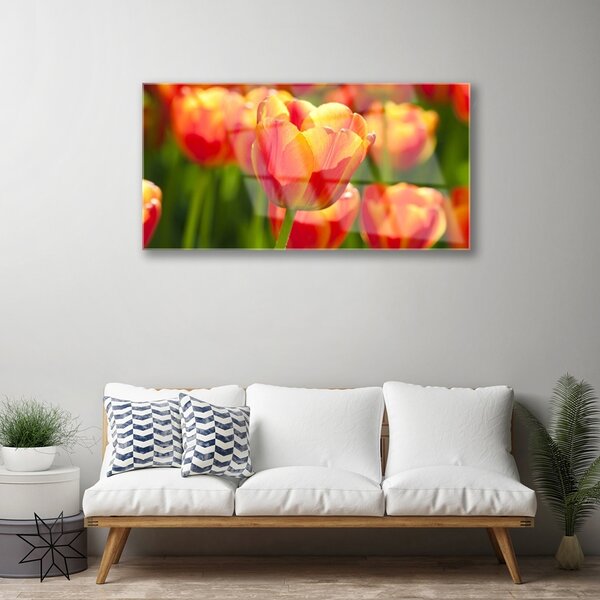 Quadro su vetro Tulipani Fiori Pianta 100x50 cm 2 appendini