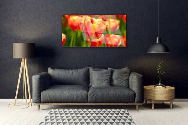 Quadro su vetro Tulipani Fiori Pianta 100x50 cm 2 appendini