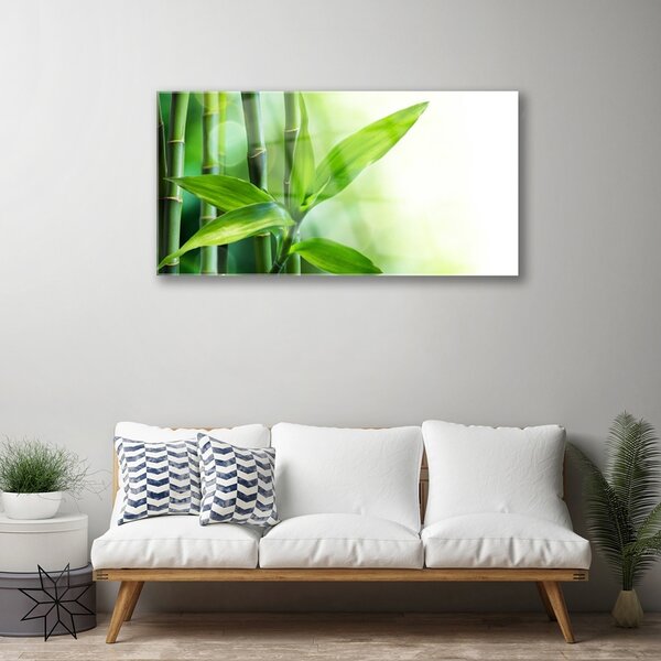 Quadro vetro Pianta di foglie di bambù Natura 100x50 cm 2 appendini