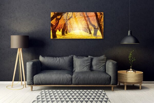 Quadro vetro Sentiero forestale Natura Alberi 100x50 cm 2 appendini