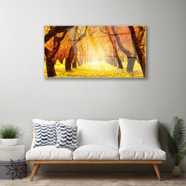 Quadro vetro Sentiero forestale Natura Alberi 100x50 cm 2 appendini