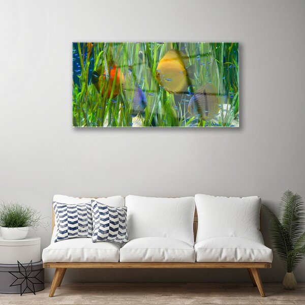 Quadro di vetro Pesce Alghe Natura 100x50 cm 2 appendini