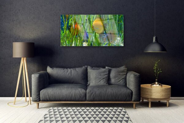 Quadro di vetro Pesce Alghe Natura 100x50 cm 2 appendini