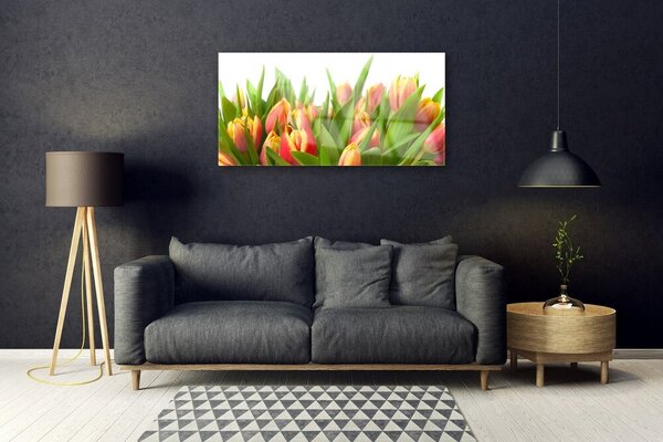 Quadro vetro Tulipani Fiori Pianta 100x50 cm 2 appendini