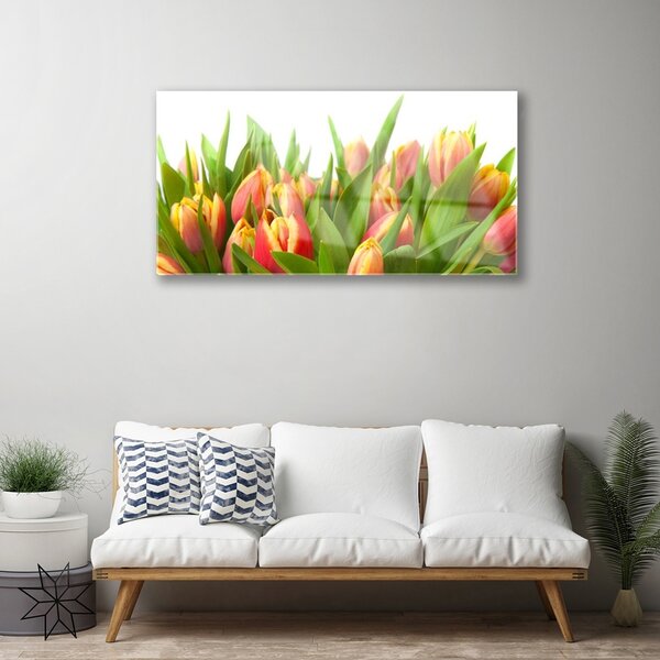 Quadro vetro Tulipani Fiori Pianta 100x50 cm 2 appendini