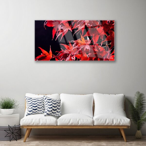 Quadro in vetro Foglia Natura Pianta 100x50 cm 2 appendini