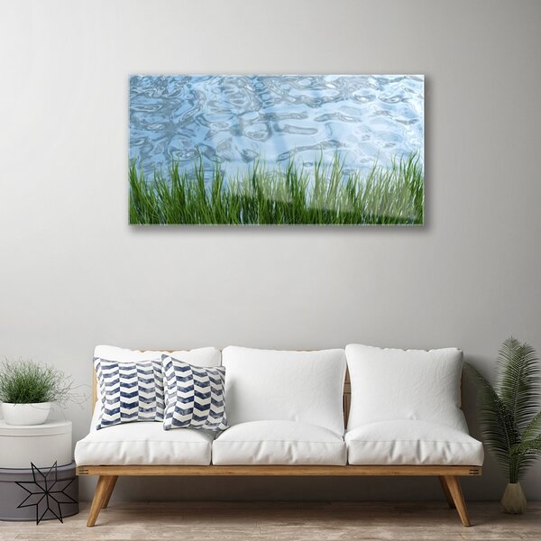 Quadro in vetro Erba Acqua Natura 100x50 cm 2 appendini