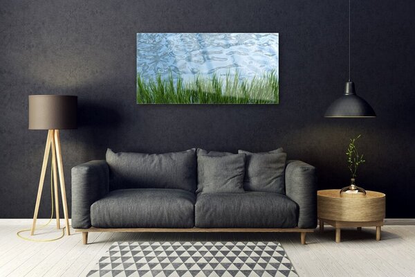 Quadro in vetro Erba Acqua Natura 100x50 cm 2 appendini