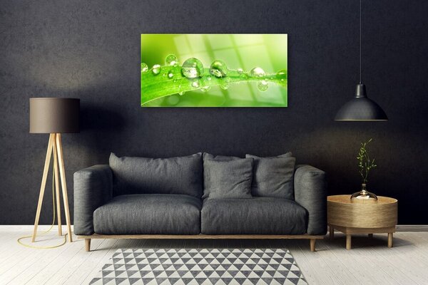 Quadro di vetro Gocce di foglie di una pianta di Rosa 100x50 cm 2 appendini