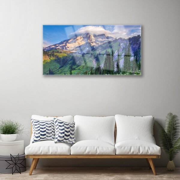 Quadro su vetro Montagna Foresta Paesaggio Natura 100x50 cm 2 appendini