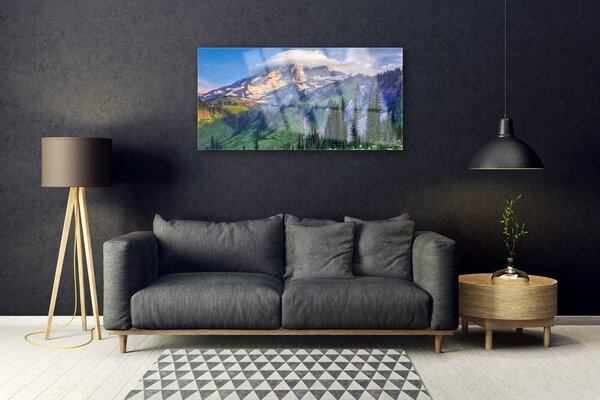 Quadro su vetro Montagna Foresta Paesaggio Natura 100x50 cm 2 appendini