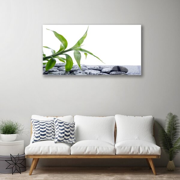 Quadro di vetro Foglia Natura Pietre Pianta 100x50 cm 2 appendini