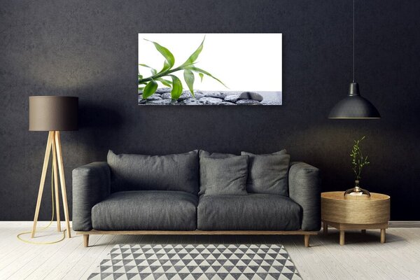 Quadro di vetro Foglia Natura Pietre Pianta 100x50 cm 2 appendini