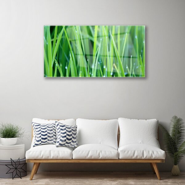 Quadro su vetro Gocce d'erba Pianta naturale 100x50 cm 2 appendini