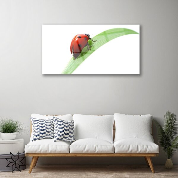Quadro vetro Coccinella Foglia Natura 100x50 cm 2 appendini