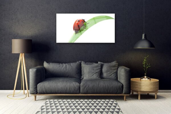 Quadro vetro Coccinella Foglia Natura 100x50 cm 2 appendini