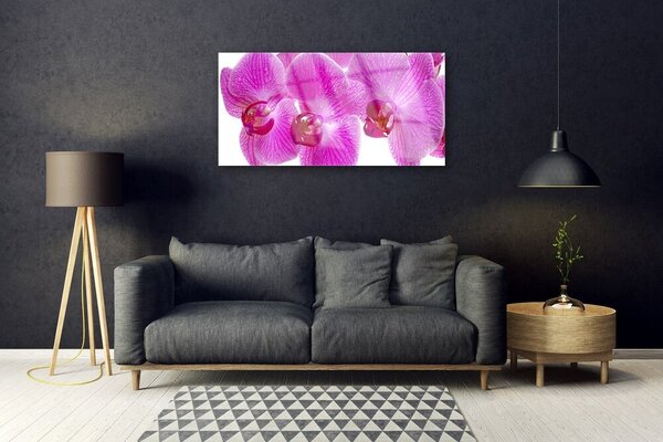 Quadro su vetro Fiori Pianta naturale 100x50 cm 2 appendini