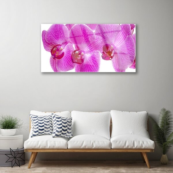 Quadro su vetro Fiori Pianta naturale 100x50 cm 2 appendini
