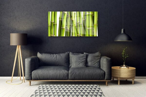 Quadro su vetro Pianta di bambù Natura 100x50 cm 2 appendini