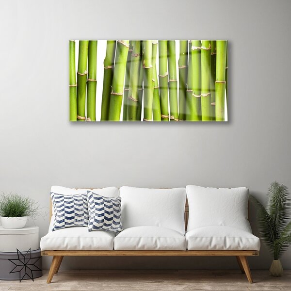 Quadro su vetro Pianta di bambù Natura 100x50 cm 2 appendini