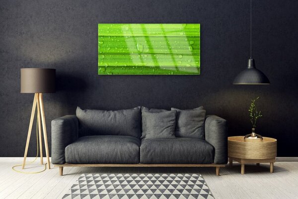 Quadro vetro Erba Pianta Natura 100x50 cm 2 appendini