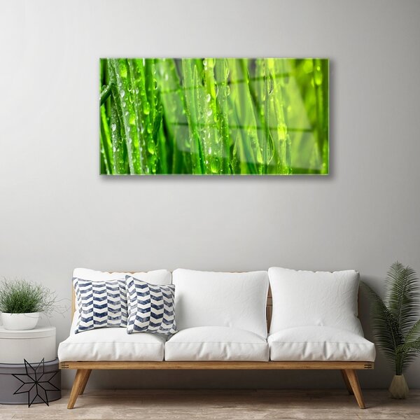 Quadro su vetro Erba Pianta Natura 100x50 cm 2 appendini