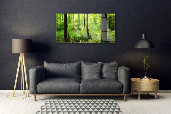 Quadro vetro Foresta Verde Alberi Natura 100x50 cm 2 appendini
