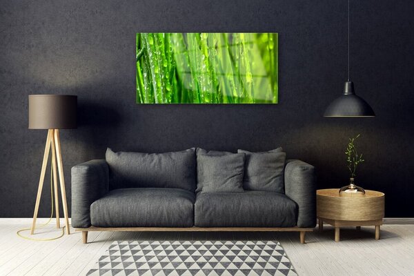 Quadro su vetro Erba Pianta Natura 100x50 cm 2 appendini