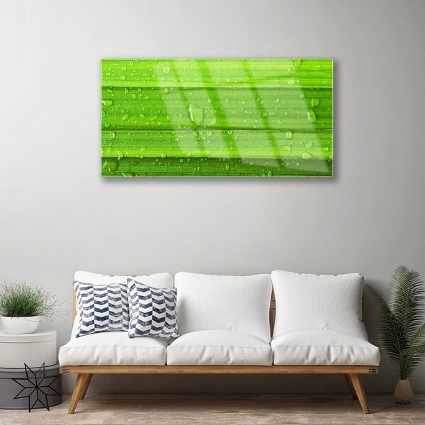 Quadro vetro Erba Pianta Natura 100x50 cm 2 appendini