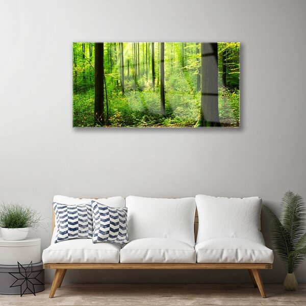 Quadro vetro Foresta Verde Alberi Natura 100x50 cm 2 appendini