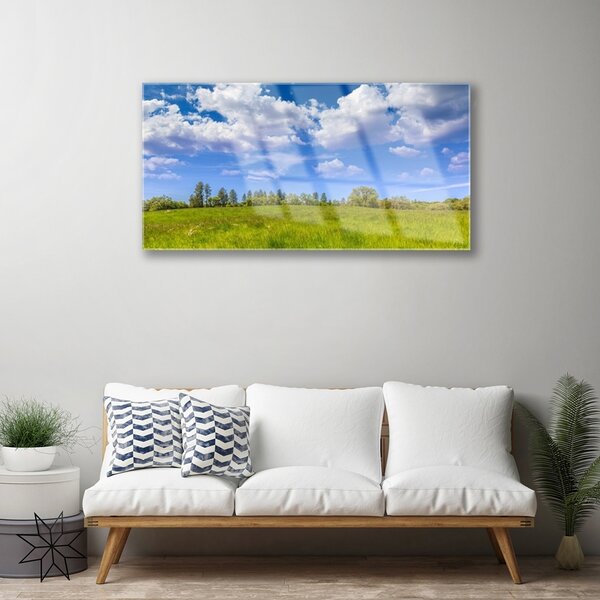Quadro di vetro Prato Erba Cielo Paesaggio 100x50 cm 2 appendini