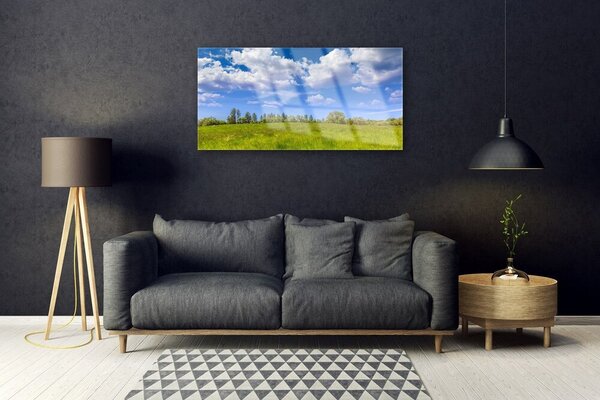 Quadro di vetro Prato Erba Cielo Paesaggio 100x50 cm 2 appendini