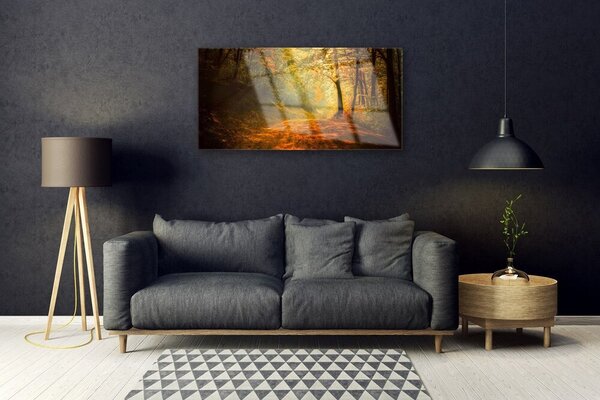 Quadro di vetro Sentiero forestale Alberi Natura 100x50 cm 2 appendini