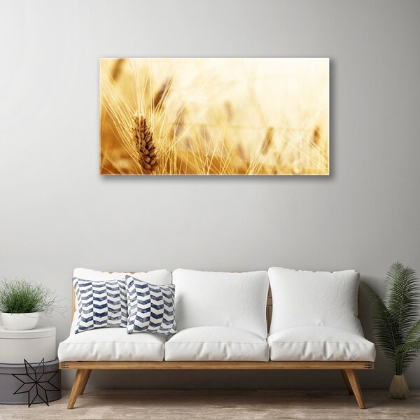 Quadro di vetro Grano Natura Pianta 100x50 cm 2 appendini