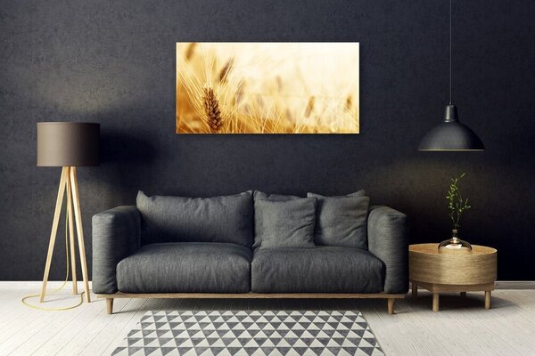Quadro di vetro Grano Natura Pianta 100x50 cm 2 appendini