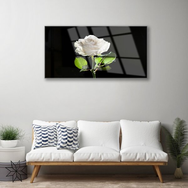 Quadro in vetro Fiore di rosa pianta naturale 100x50 cm 2 appendini