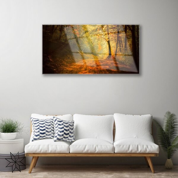 Quadro di vetro Sentiero forestale Alberi Natura 100x50 cm 2 appendini