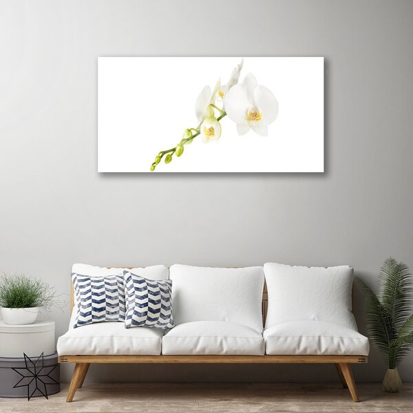 Quadro in vetro Fiori Pianta naturale 100x50 cm 2 appendini