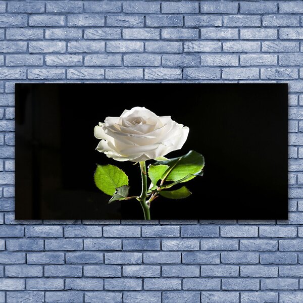 Foto quadro su tela Natura della pianta del fiore della rosa 100x50 cm
