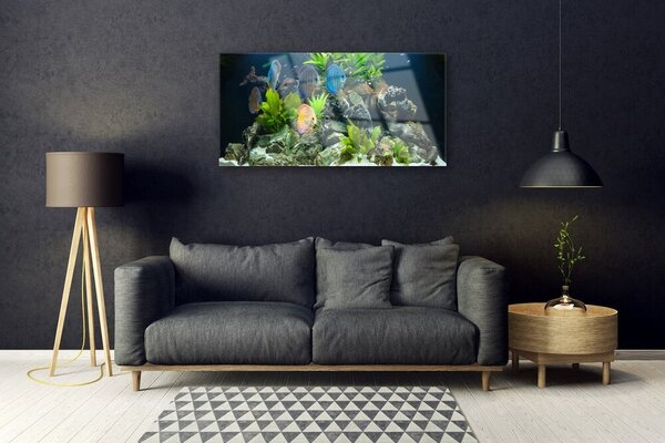 Quadro su vetro Pesce Natura Acquario 100x50 cm 2 appendini
