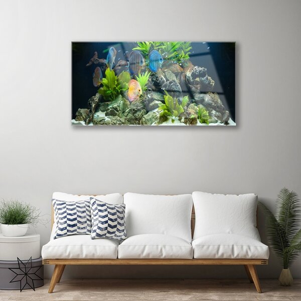 Quadro su vetro Pesce Natura Acquario 100x50 cm 2 appendini