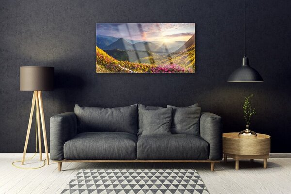 Quadro su vetro Prato di montagna Sole Paesaggio 100x50 cm 2 appendini