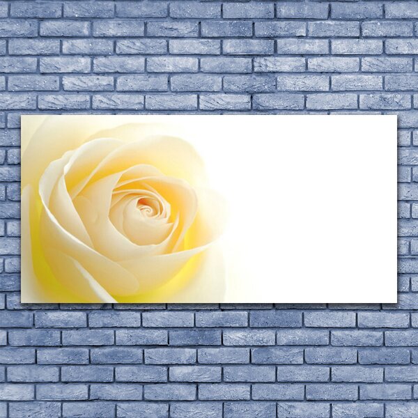 Quadro su tela Natura della pianta del fiore della rosa 100x50 cm