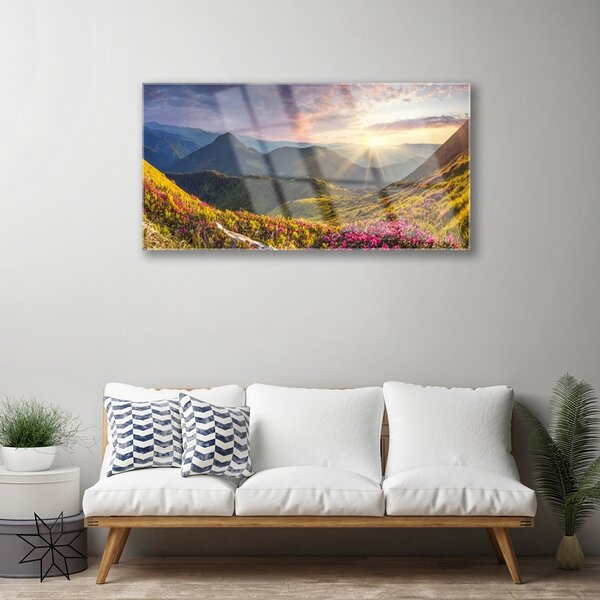Quadro su vetro Prato di montagna Sole Paesaggio 100x50 cm 2 appendini
