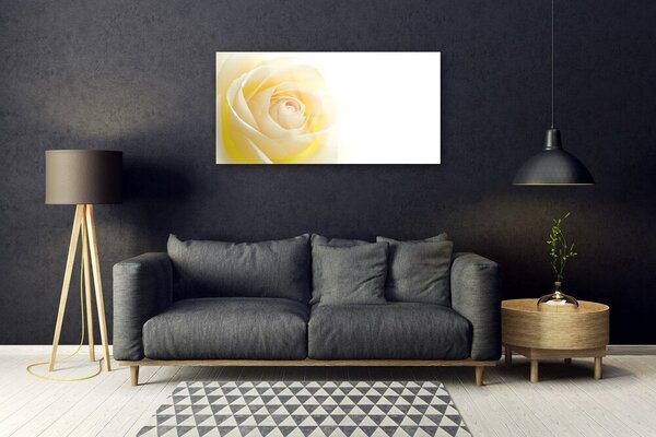 Quadro vetro Fiore di rosa pianta naturale 100x50 cm 2 appendini